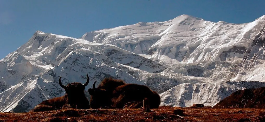 Annapurna