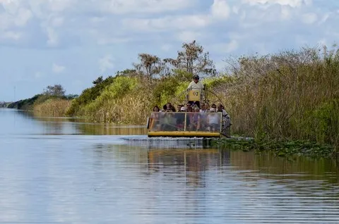 Everglades