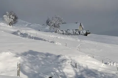 Roche des Chats - Vosges