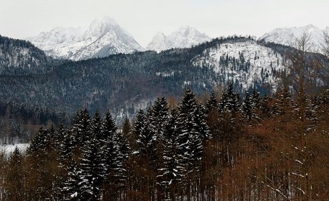 Massif de Tannheim - Tyrol 
